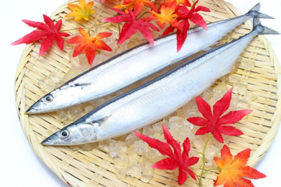 旬を食べよう！　10月の食材(野菜・果物・魚貝類)